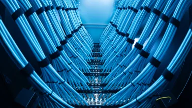 Bundles of blue network cables routed through a server rack